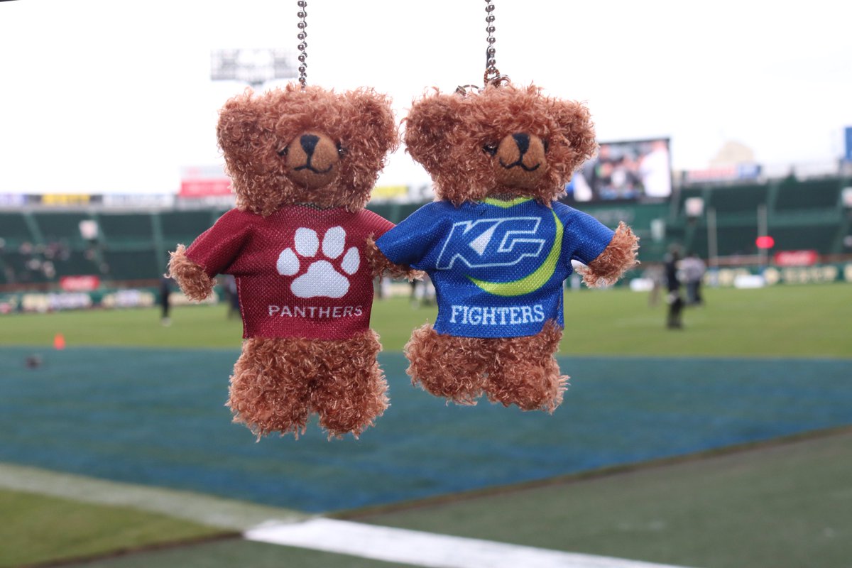 甲子園ボウルグッズ絶賛発売中／ 🏈“第80回毎日甲子園ボウル“🏈の開催