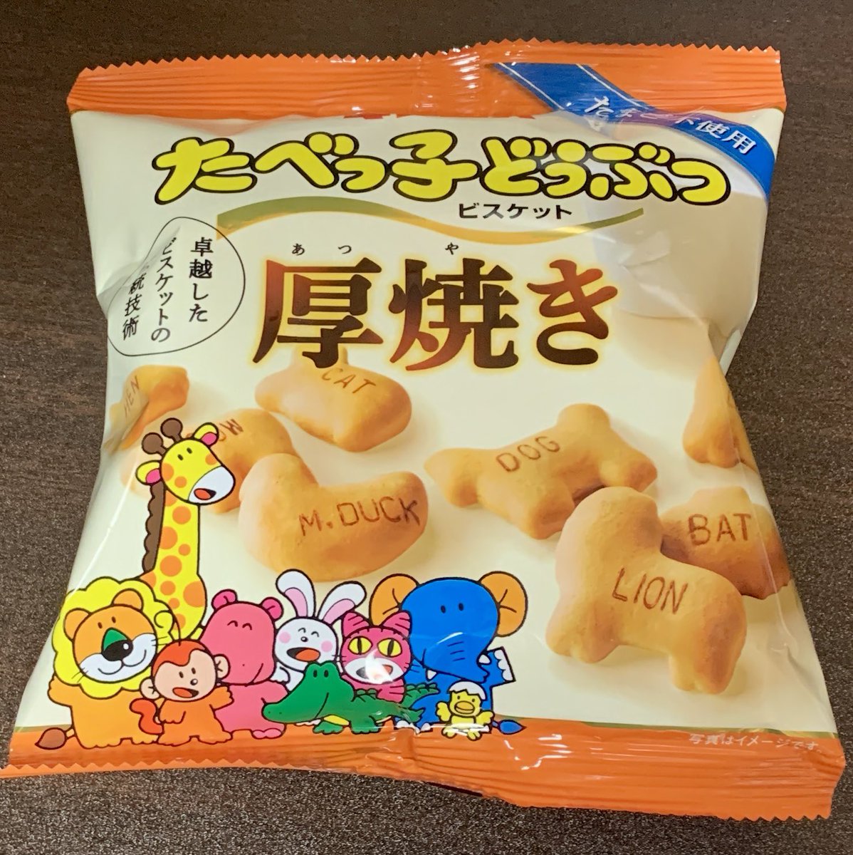 分厚いらいおんくんとぞうくん