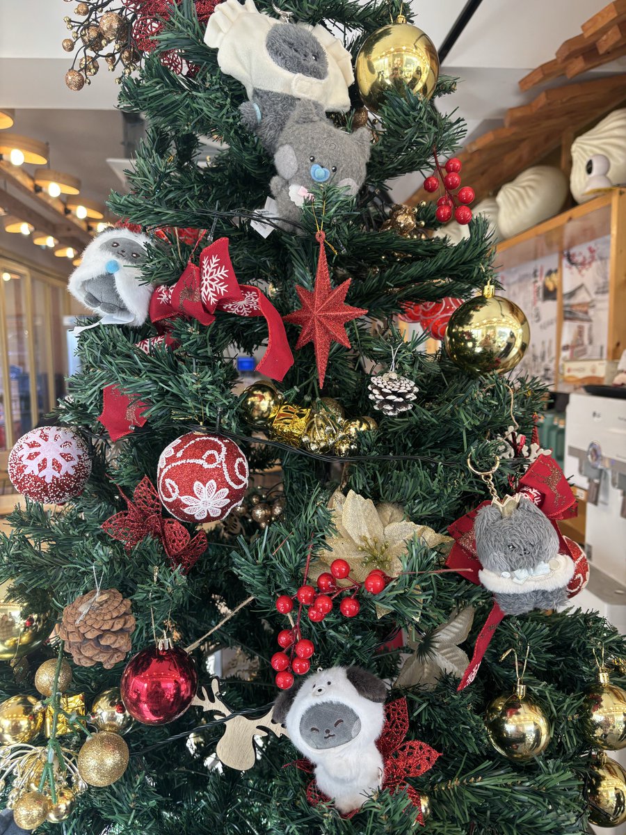 14일 지웅 데이 냥이네 만두웅 오픈했습니다!