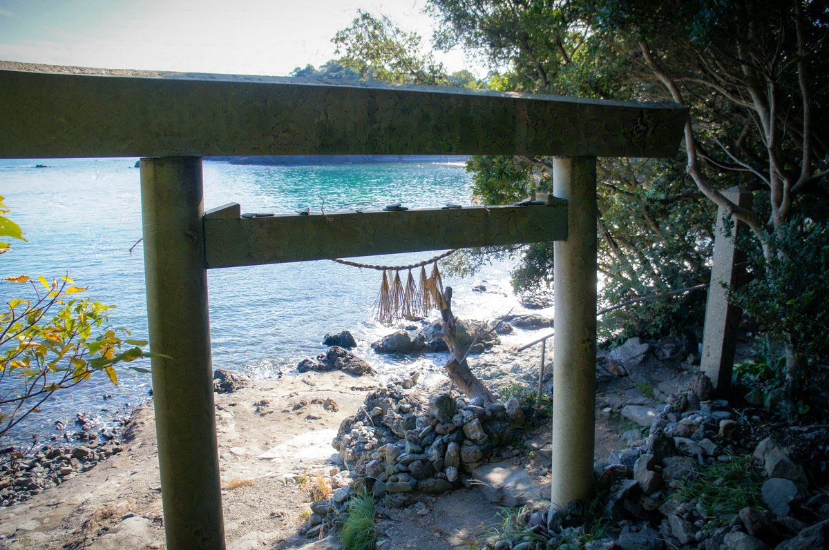 SayuriA1015's tweet photo. 🐸🏖 https://t.co/K7w8OUItJm