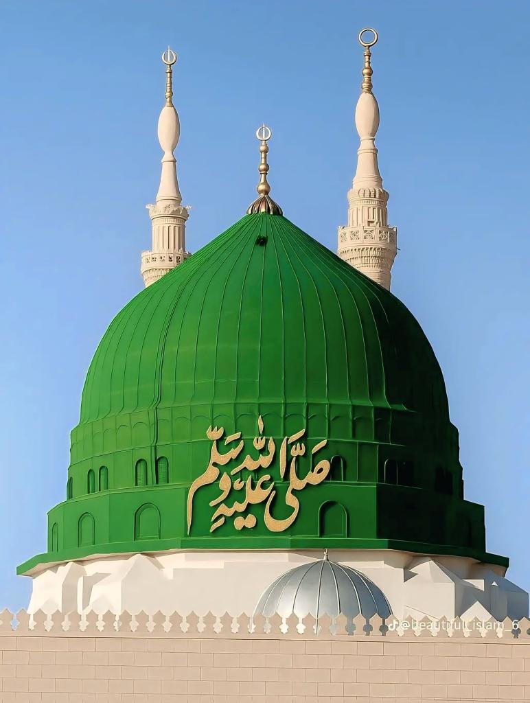 Sarah Khan tweet media