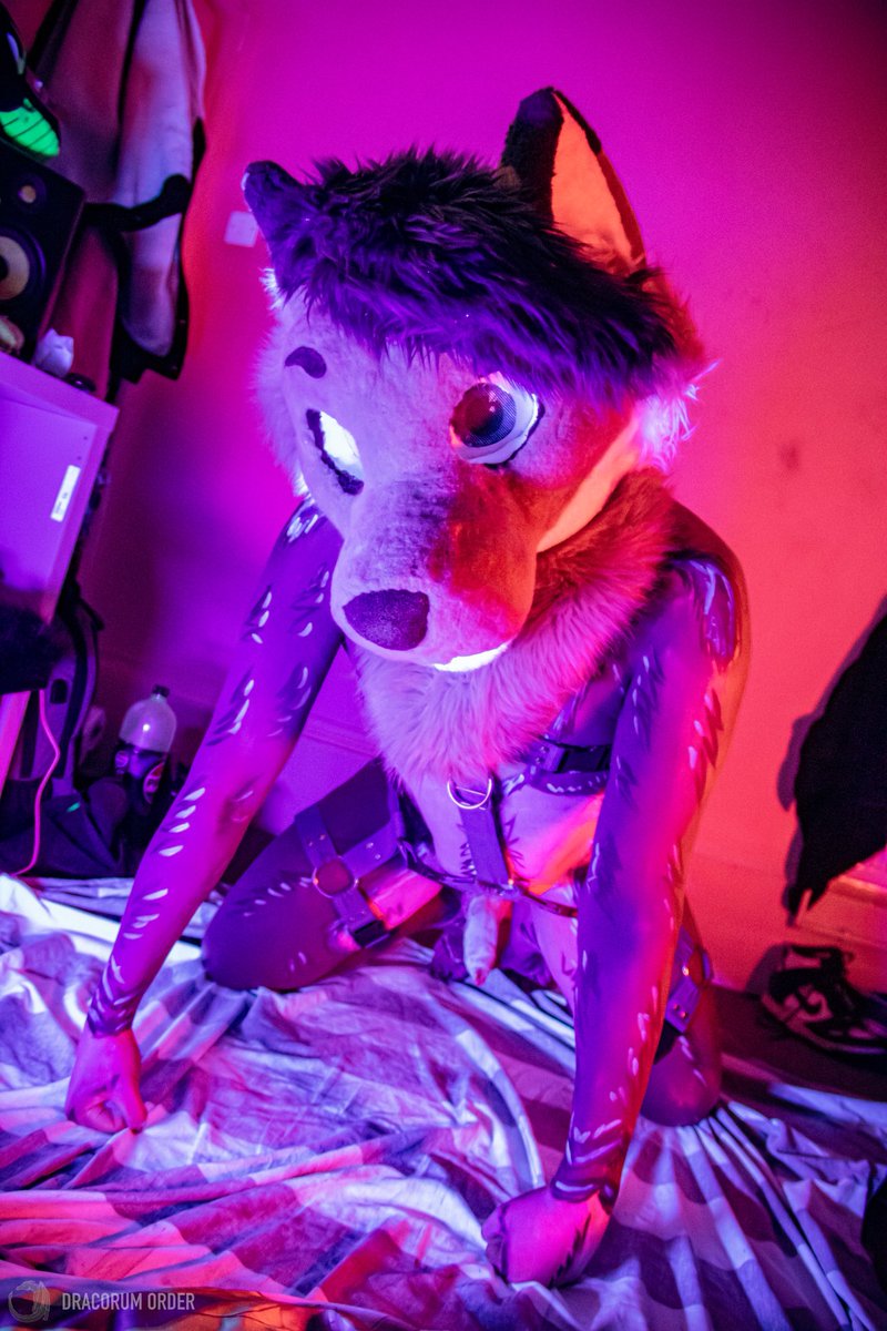 NaughtySpirit~ tweet media