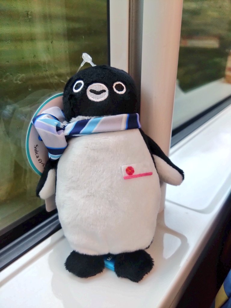 あや丸 (@aya_maru321) / Posts / X