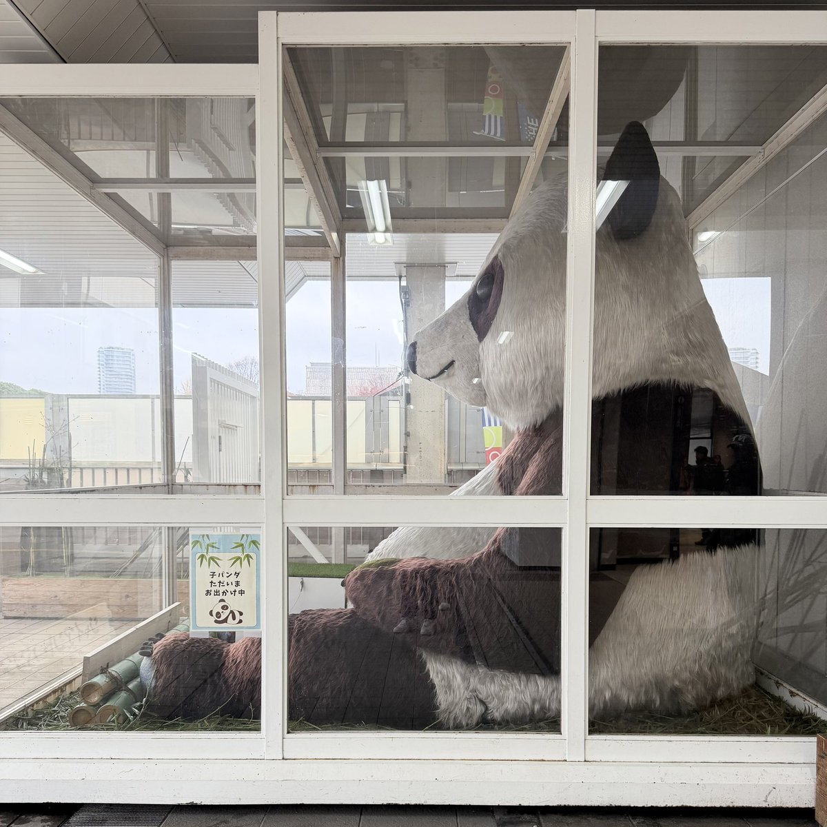 Post by かど 🍟 on X: パーンだ