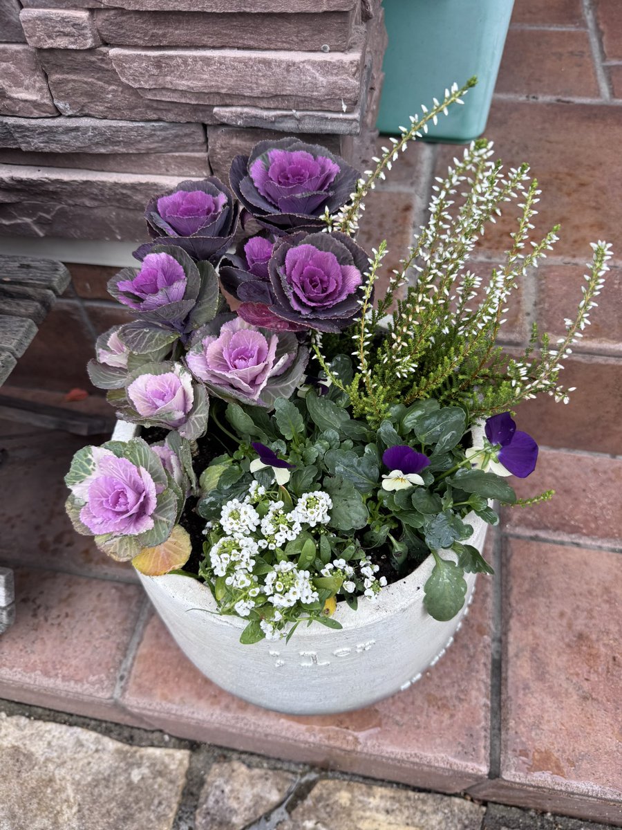 今年のうちの門松🎍的なやつ 植えてやったぜ