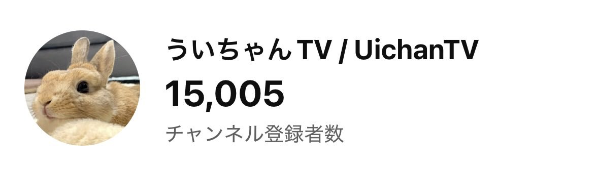 👏🐰15000人ありがと〜！！