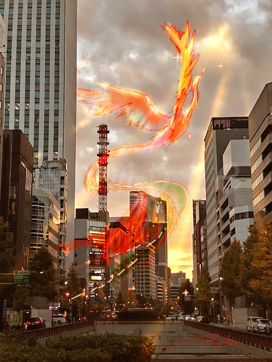 頂いた写真 鳳凰の旅立ち