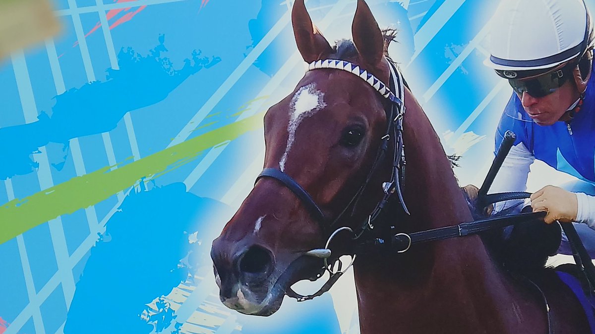 水ナス (@vKhAUJtQ0D3JPIU) / Posts / X