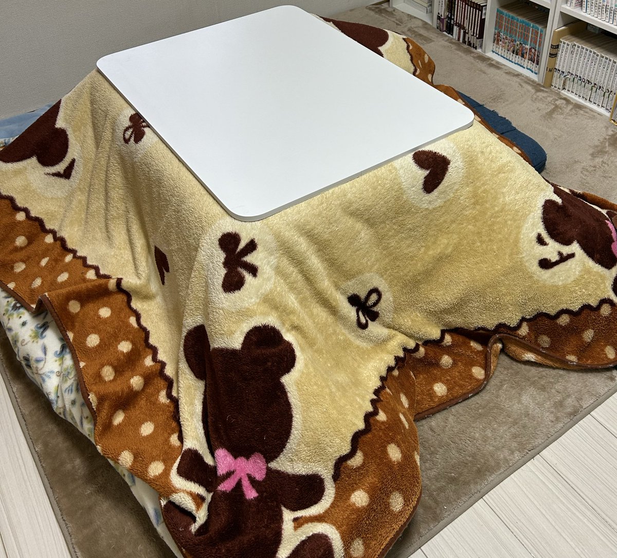 おこた、買ってきた( *˙ω˙*)و ｸﾞｯ! 温い…… まだ猫様にはバレていません