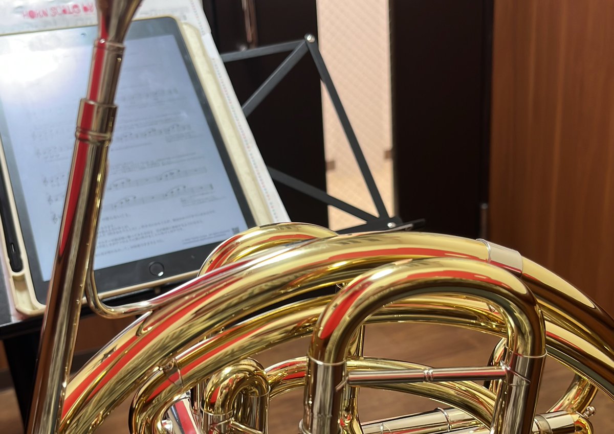 IvMus16's tweet image. 久しぶりに疲れが取れた感じがしたから久しぶりに個人練できてる

1ヶ月近くできてなかったから本当にまずいぞー
早退して全然合奏でれてない曲もあるし。
でもちゃんと練習できてないからいつも基礎練に時間取られて曲の細かいとこまでできなくて結局進まないんだよなぁ…