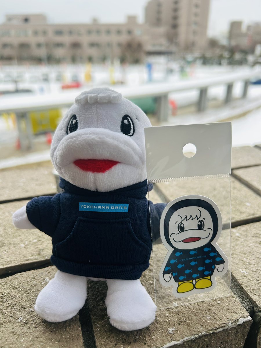本日雪につき☃️☃️☃️
雨の日グルーガ販売いたします🐬
今回より耐水ステッカー（300円）も
数量限定で発売いたします🙌✨✨