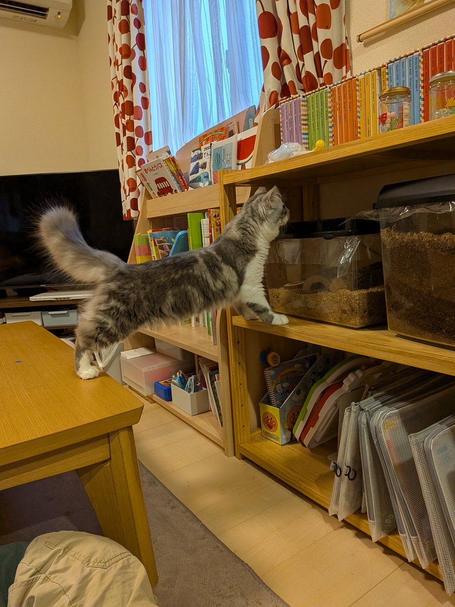 はるちゃん𓂃𓂂ꕤ*.゚☺︎ tweet media