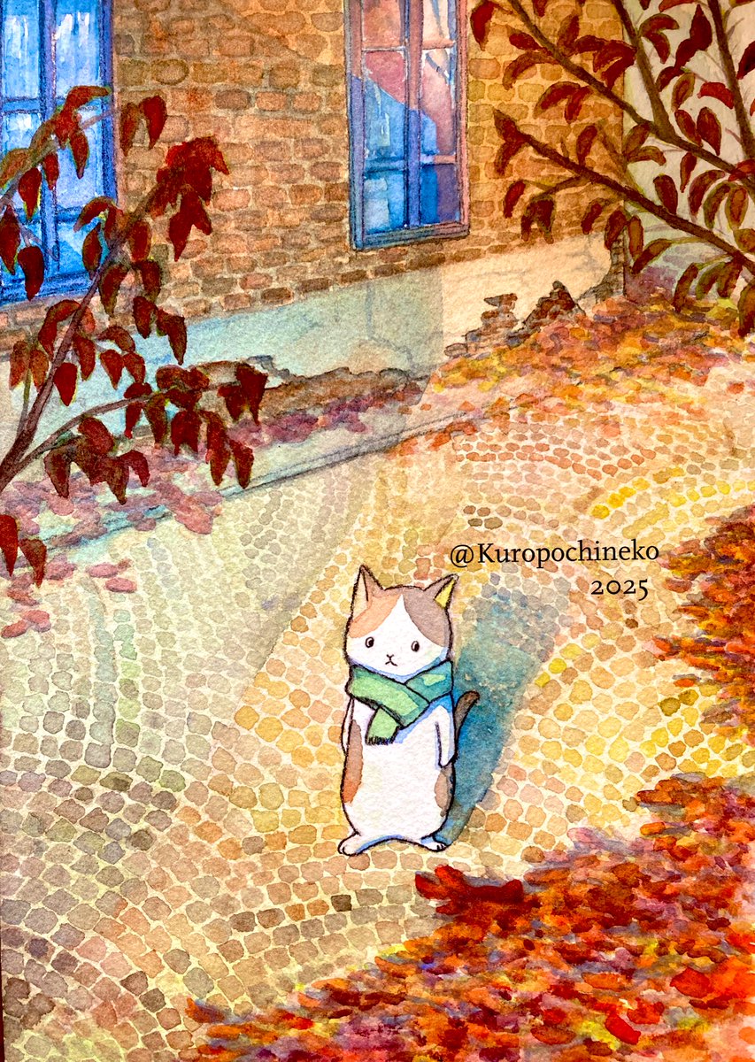 あやねこや (@neko_buna) / Posts / X