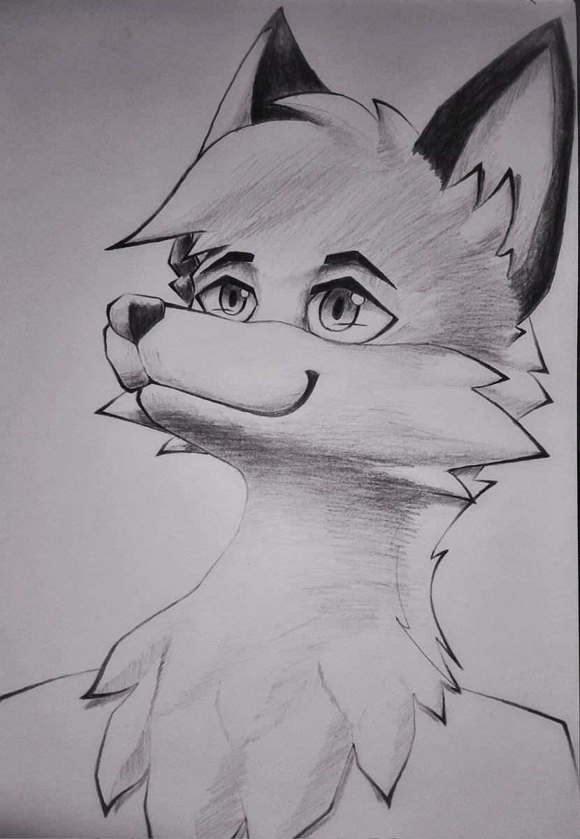 Frank Looking Up

Because recently, the frieren angle is trending. So I thought about following the trend.
#furryartwork #furryartist #furry