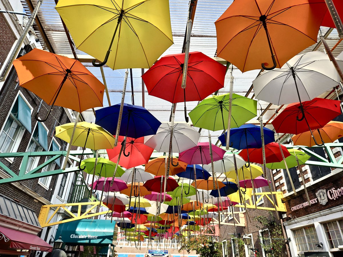 �\�[�V�����}�K�W���w�R�X���f�B�A�h�b�g�R��!!�x:�ŐV���𐏎��X�V��!!