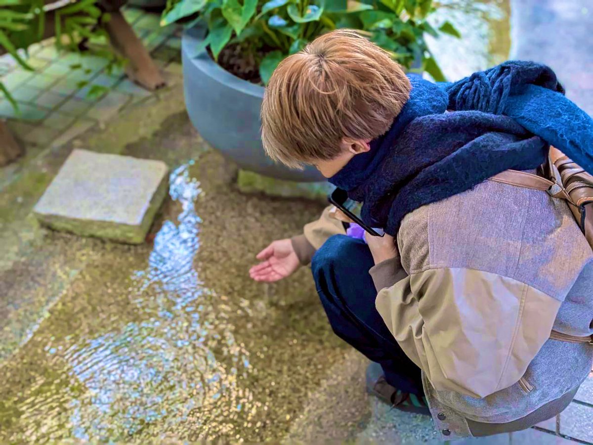 うた。 tweet media