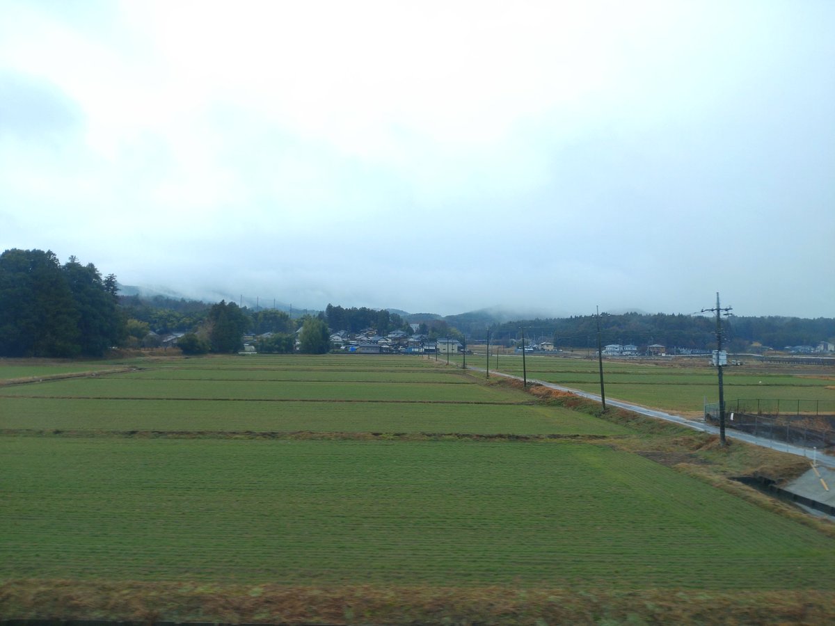 V___IP's tweet photo. 小雨の常磐パストラーレ https://t.co/qMwzTfQMP4