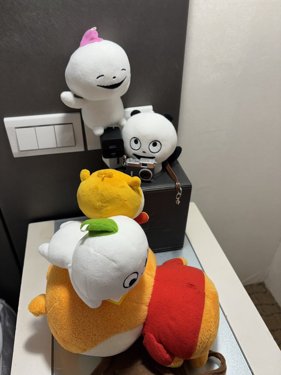 masamasacco's tweet photo. ﾁﾋﾞぱんだちゃんもお写真撮るの?!

ピンちゃん、落ちたら危ないから降りて。

#Pieni
#トイカメラ 
#ピンちゃん
#ポンちゃん
#ごきげんぱんだ
#スタジオUG https://t.co/JwQrpJpnoM