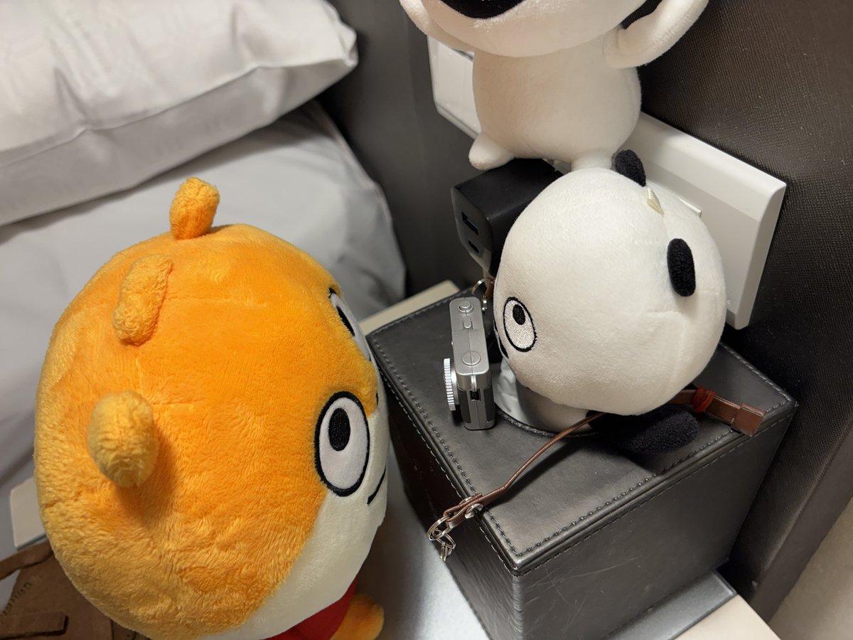 masamasacco's tweet photo. ﾁﾋﾞぱんだちゃんもお写真撮るの?!

ピンちゃん、落ちたら危ないから降りて。

#Pieni
#トイカメラ 
#ピンちゃん
#ポンちゃん
#ごきげんぱんだ
#スタジオUG https://t.co/JwQrpJpnoM