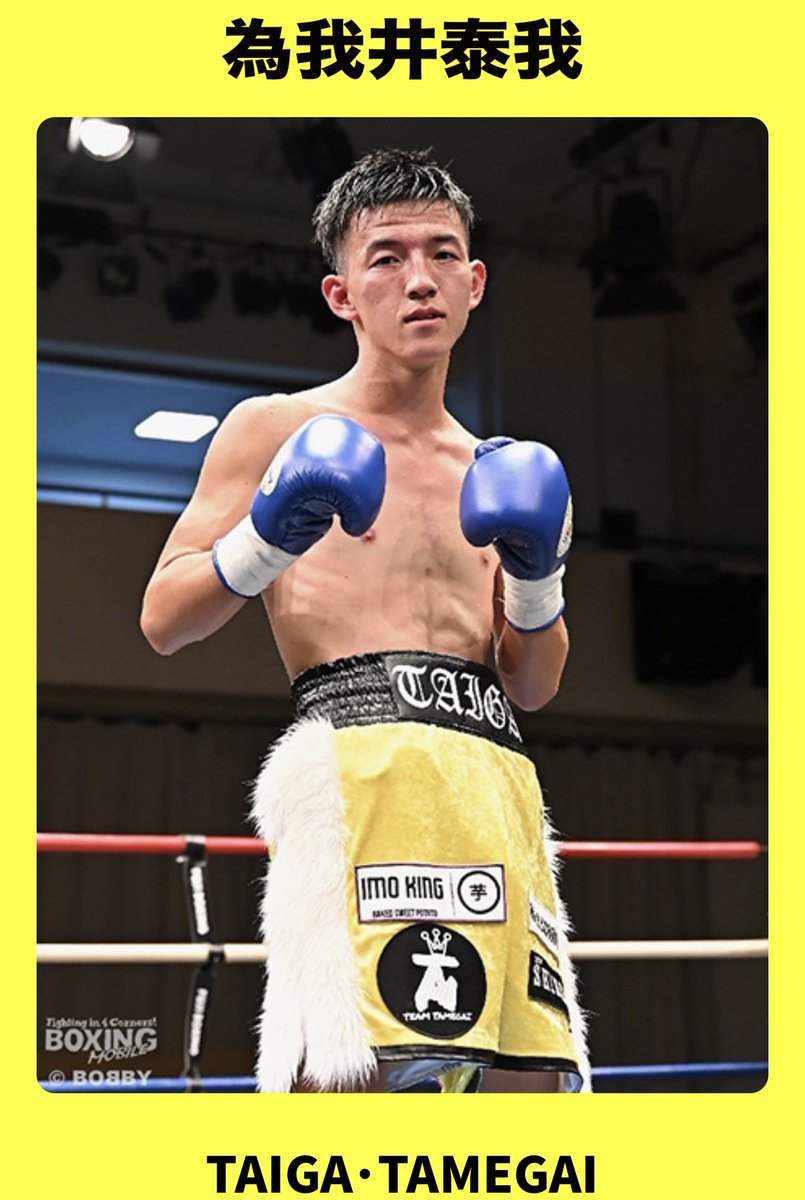 拳闘屋 (@boxing_ya) / Posts / X