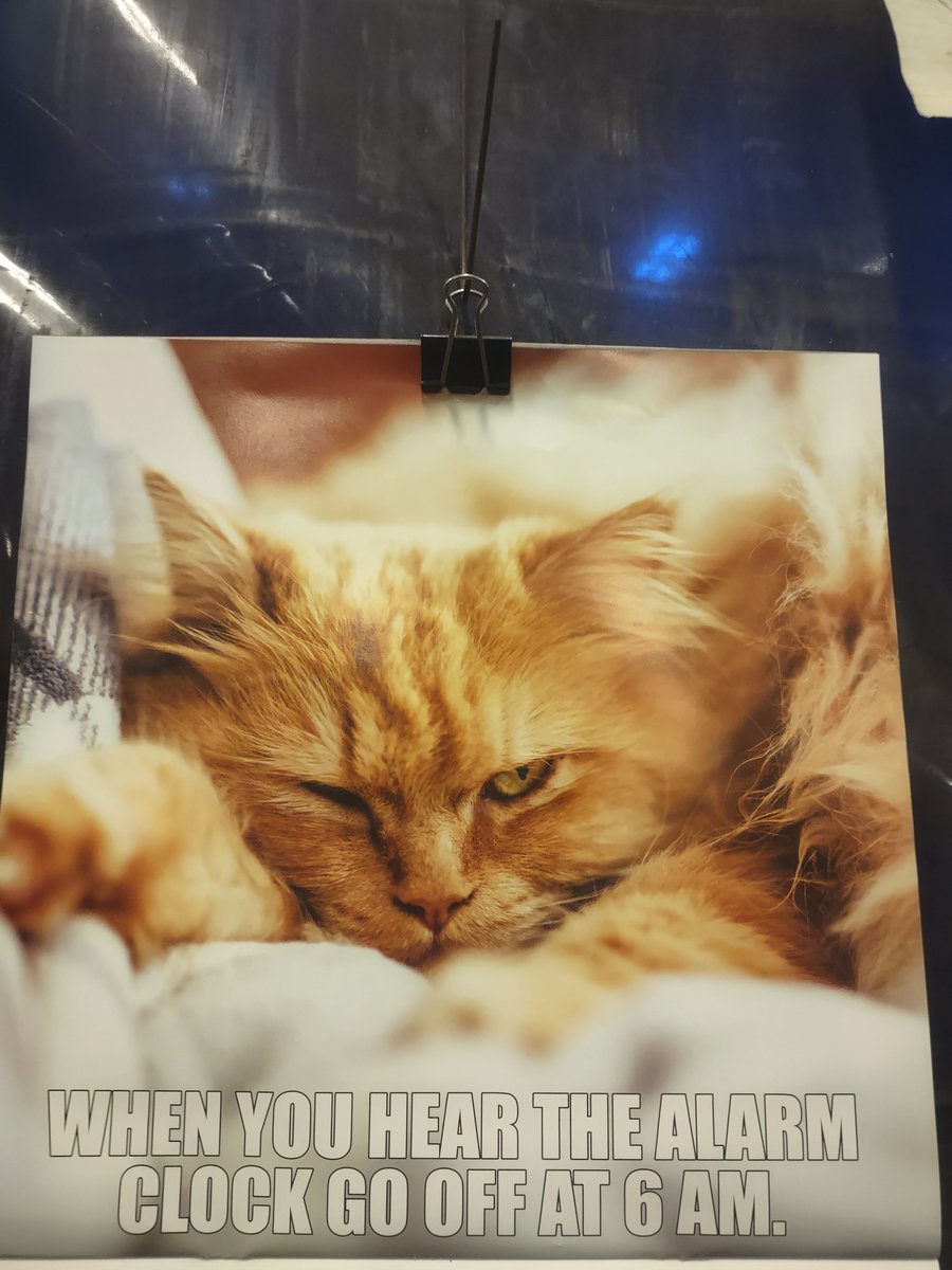 Commercial time fun #OPLive