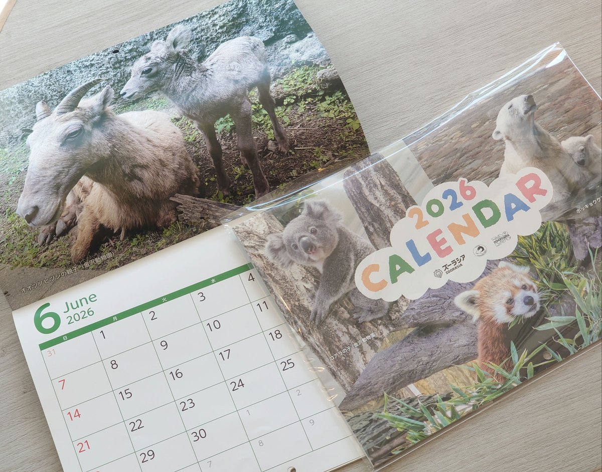 きつね (@con_1draw) / Posts / X