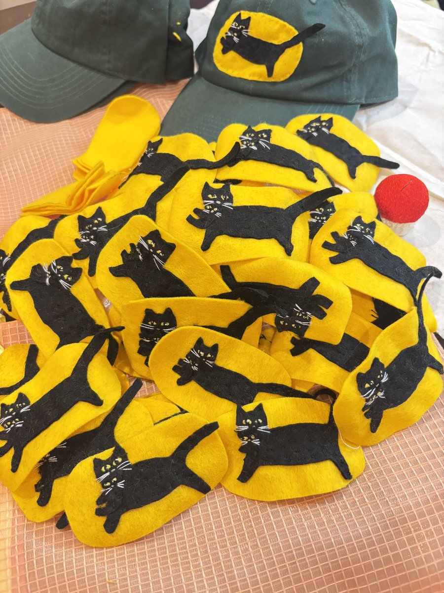 小菅くみ (@kumidesuyone) / Posts / X