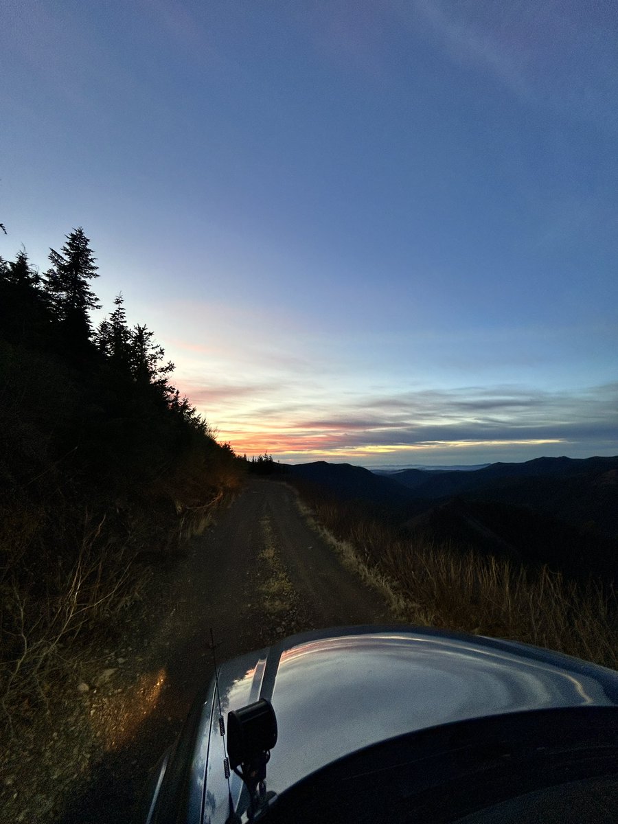 kalimoding's tweet image. touch more grass!!