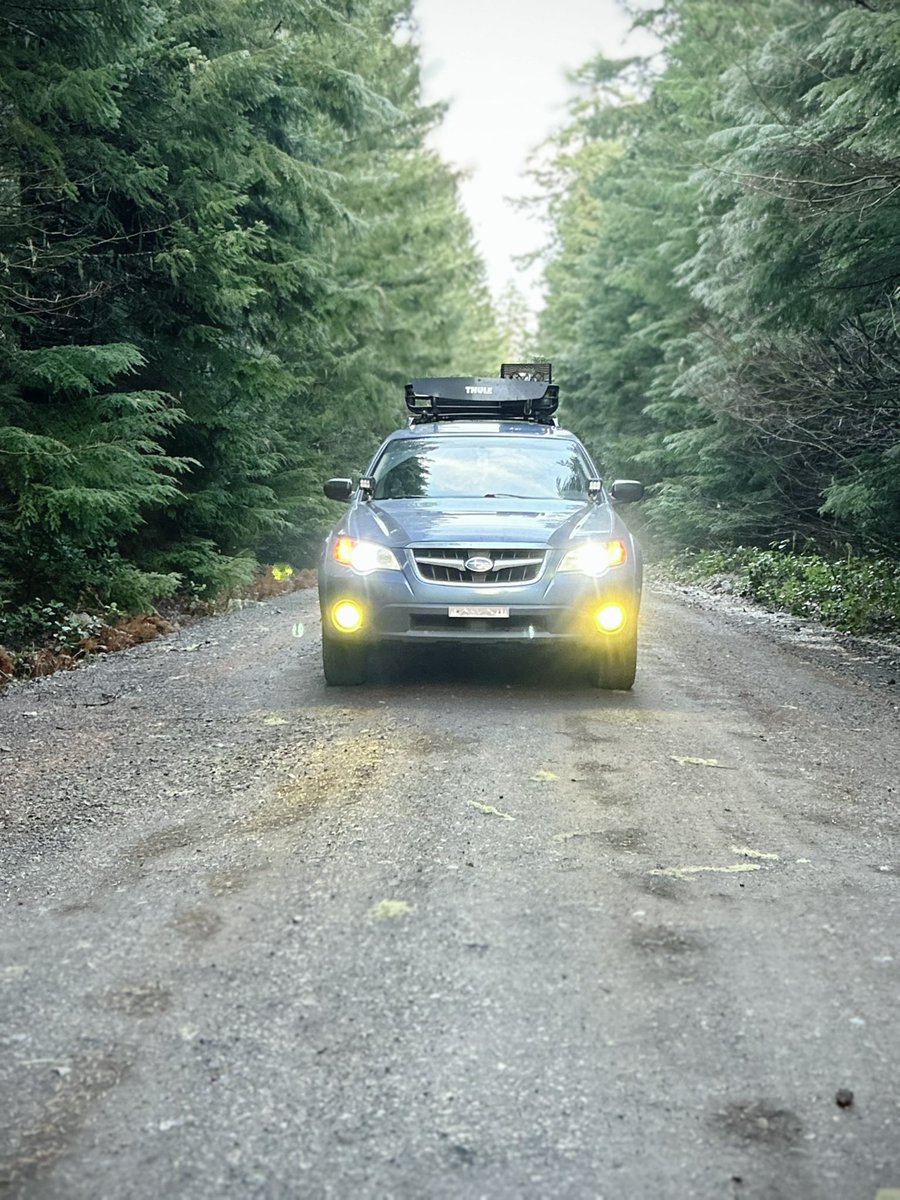 kalimoding's tweet image. touch more grass!!