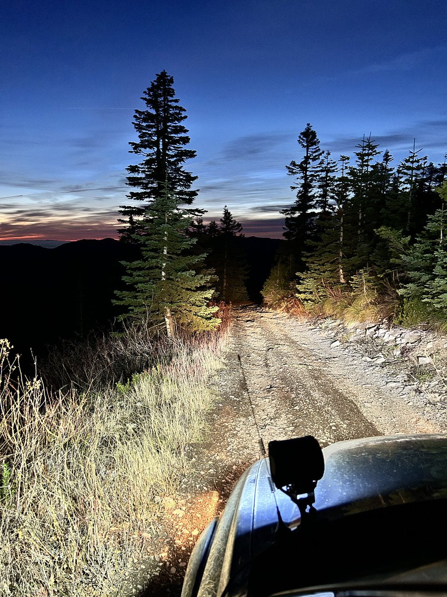 kalimoding's tweet image. touch more grass!!