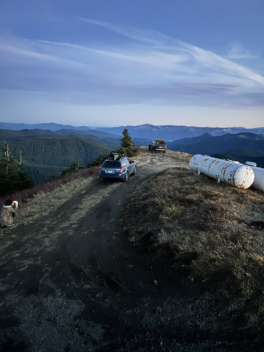 kalimoding's tweet image. touch more grass!!