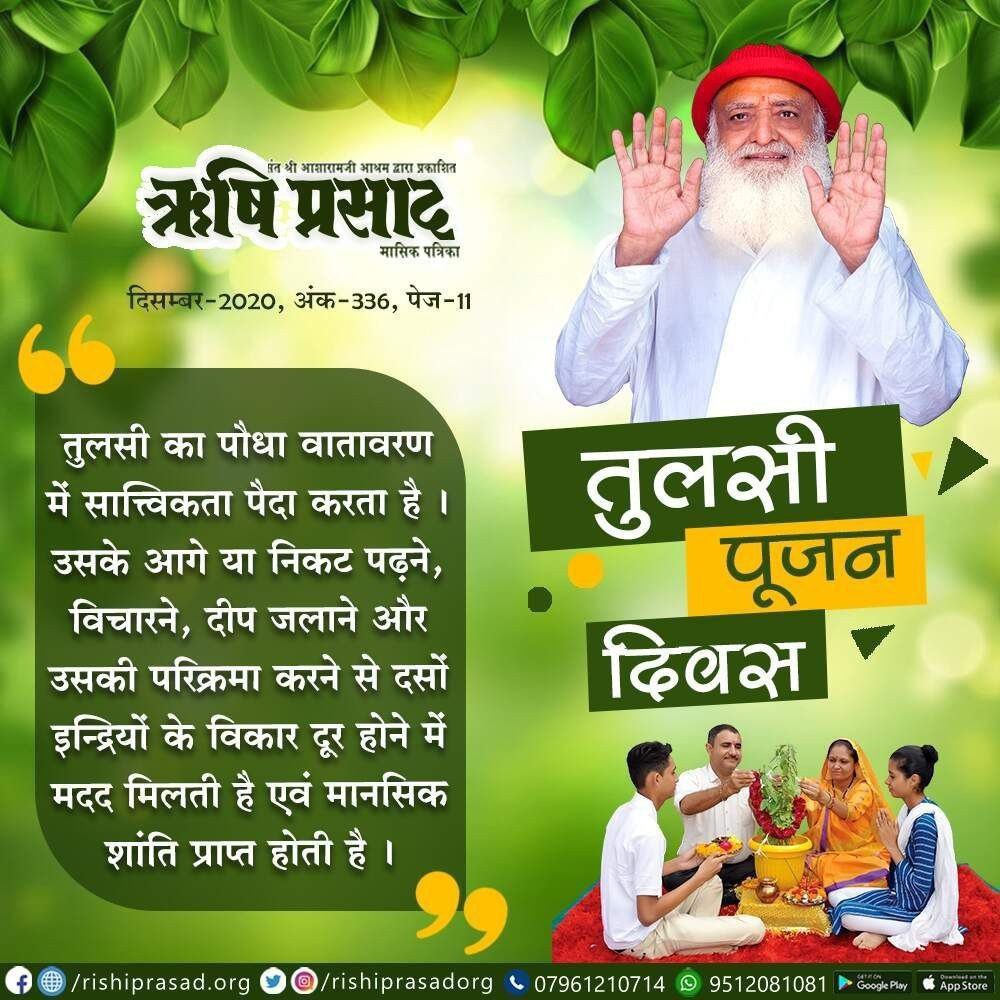 Sadhna108's tweet photo. Sant Shri Asharamji Bapu ने गौ, गीता,गंगा,तुलसी व Bharatiya Sanskriti की महिमा गाई।तुलसी के रोपण, सिंचन,रक्षण,स्पर्श व दर्शन से मनुष्य के वाणी,मन व काया के समस्त दोष दूर होते है।सभीको तुलसी के अनंत लाभ मिलें इसलिए बापूजी ने 25 दिसंबर को Tulsi Pujan Diwas शुरू किया।#TheInitiator https://t.co/3G1Whytc7c