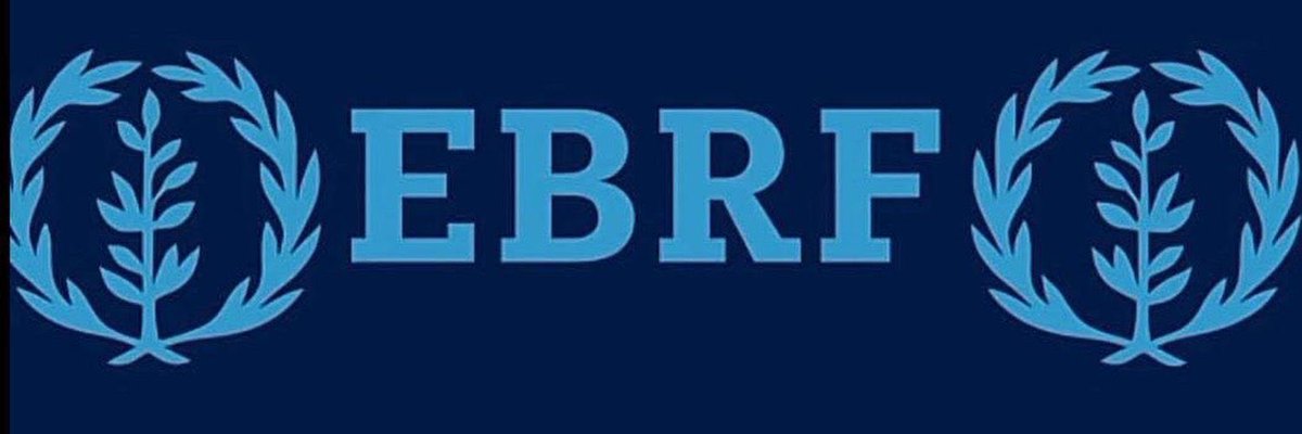 **Unity + Solidarity = Change**

The meeting in ADDIS ABEBA Regarding #EBRF cleared us these following 2 points mainly:

1. **EBRF’s Position:**  
   The EBRF emphasizes that we are committed to principled diplomacy, not propaganda. EBRF aims to unite all citizens, prioritizing