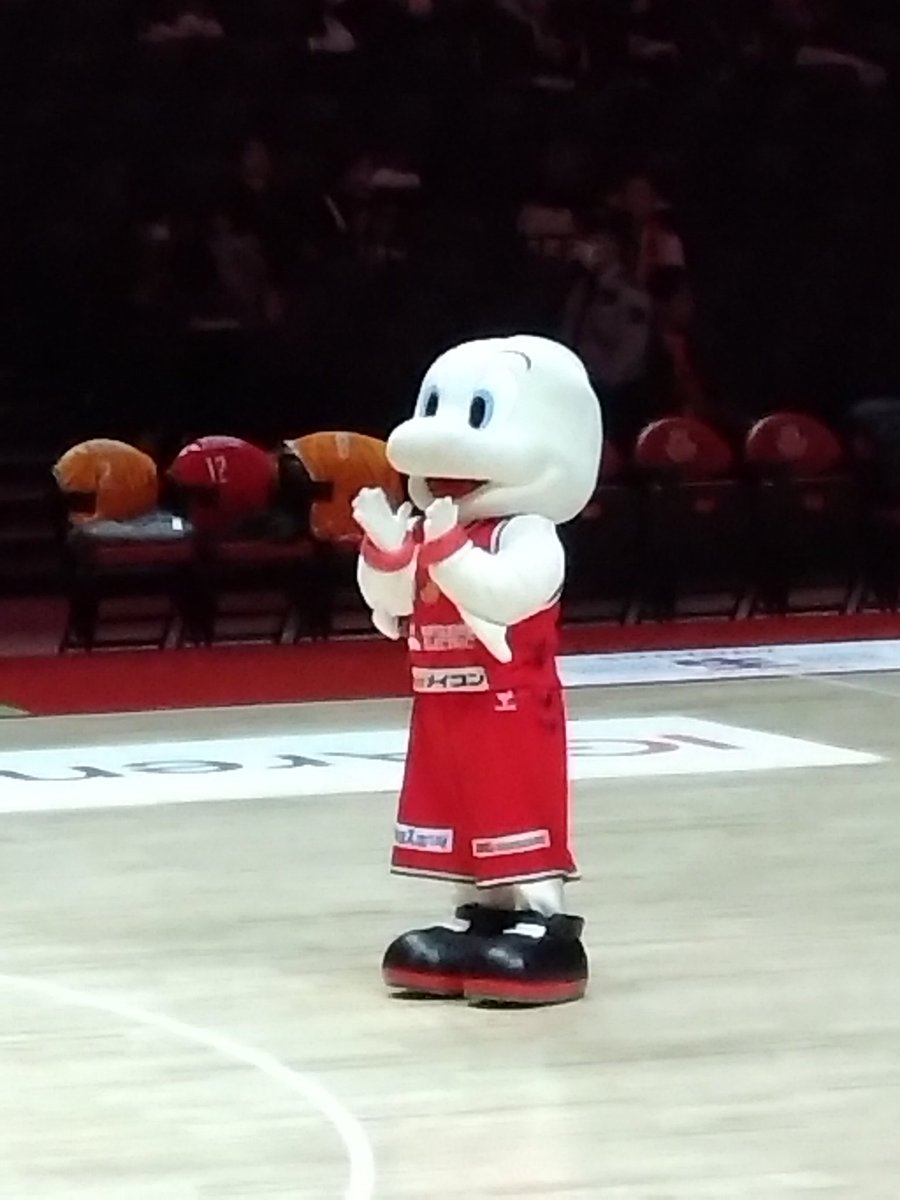 ニコ丸 今日はこんな感じ😆