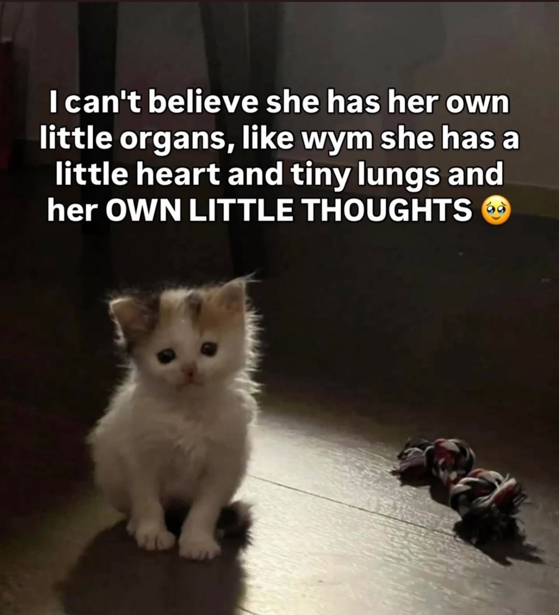 chain 💚🦇 comms open // MCRLDN+MCRGLASGOW tweet media