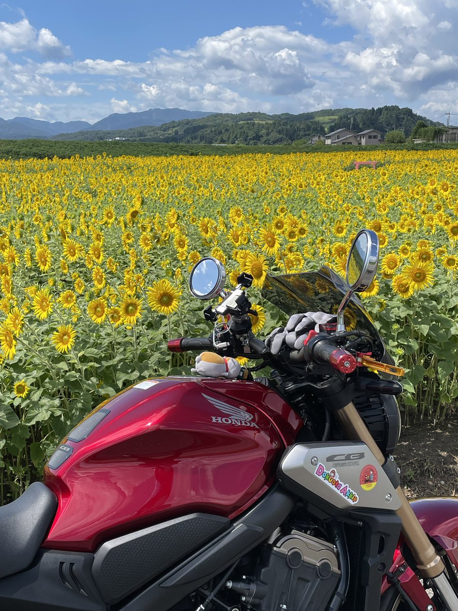 とんち様 のん (@snUtQ17xqlGcVVl) / Posts / X