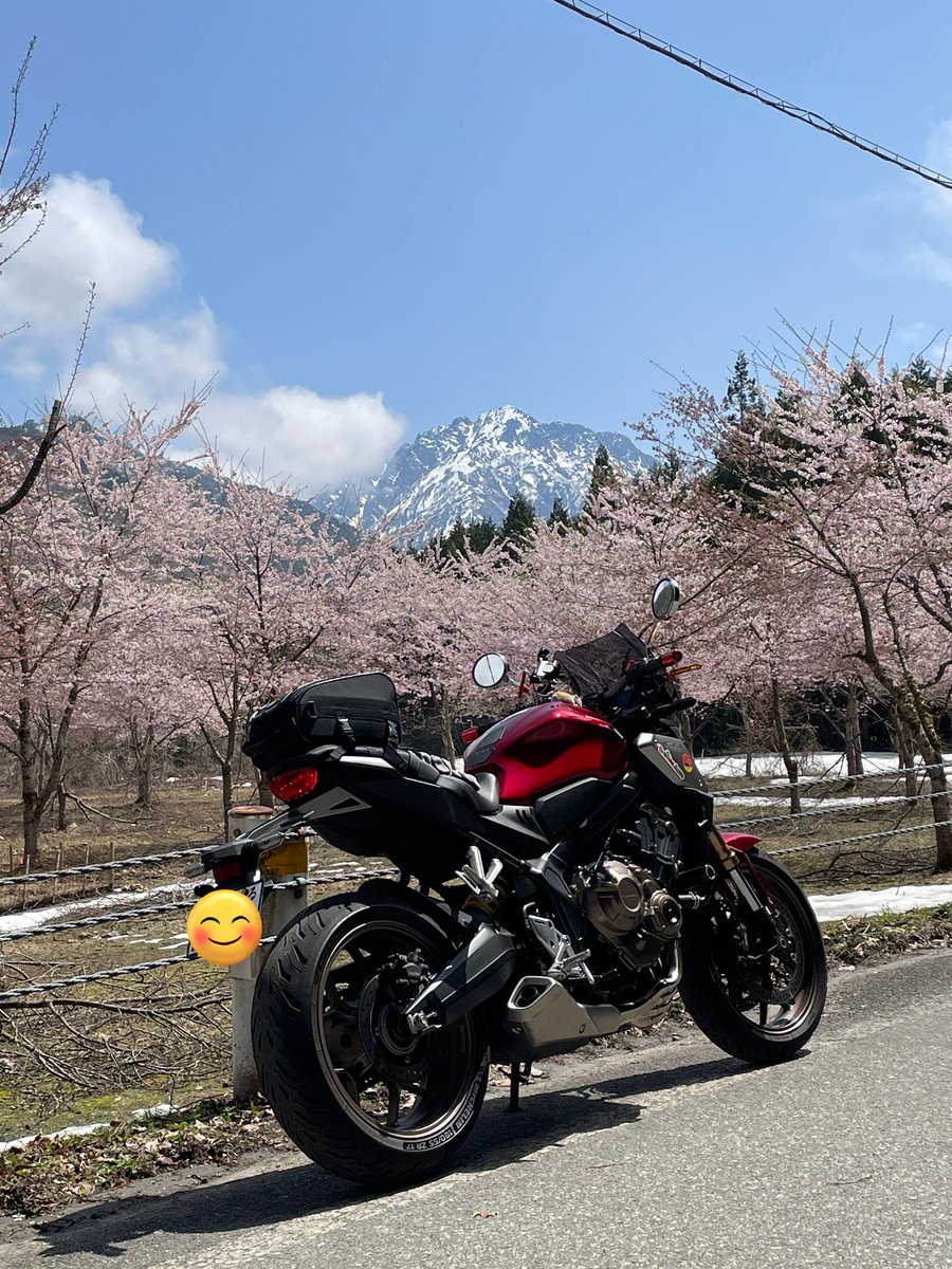 toshi (@s4zX7xL1ZUsj1lC) / Posts / X