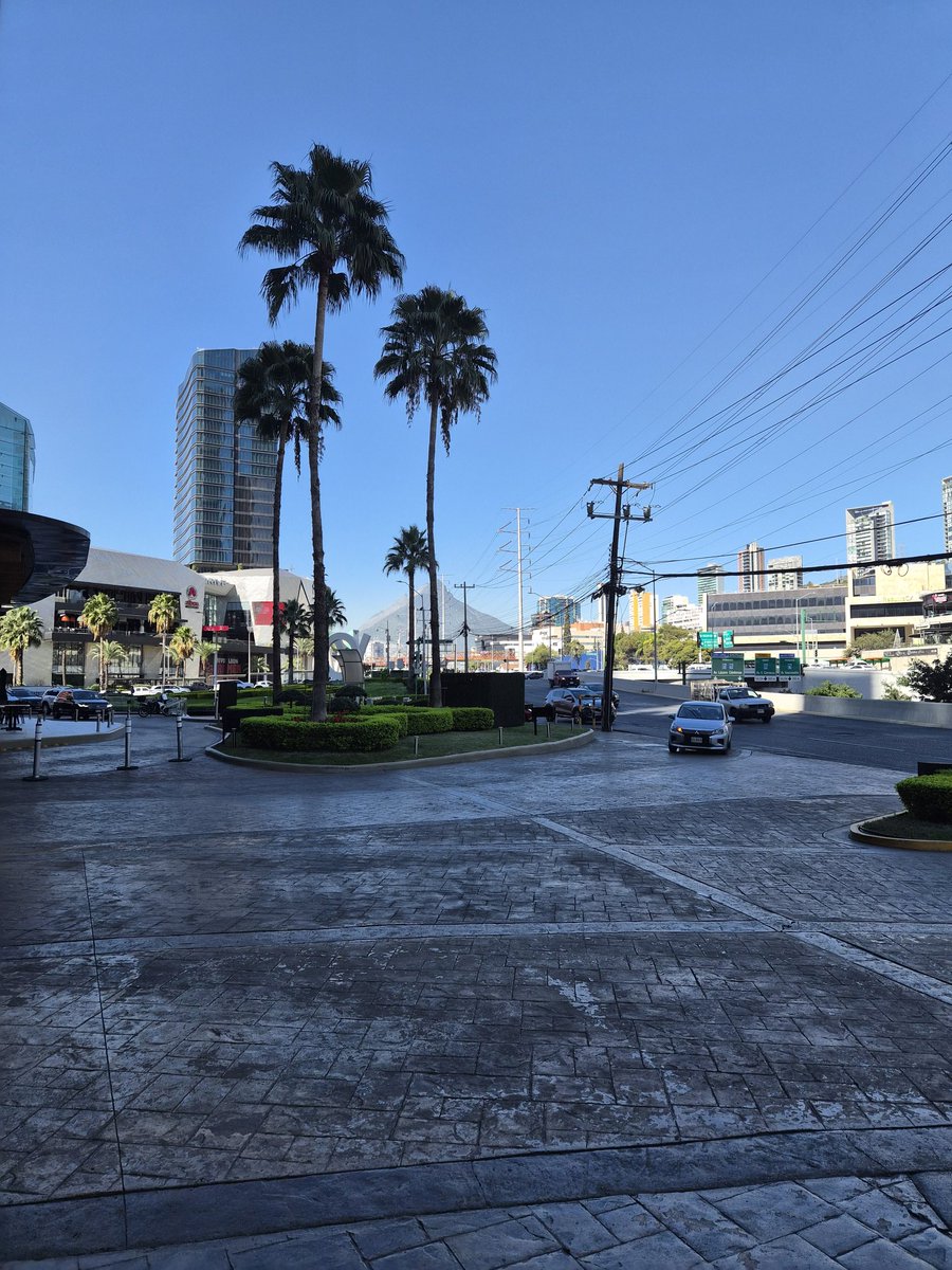 khaleesi tweet media