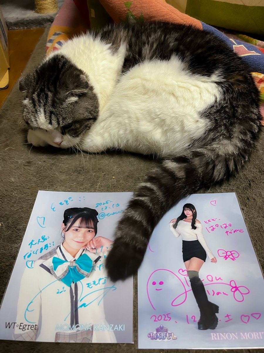 ももなさん新リーダー就任おめ！🎊 デビュー時は子供だったのに