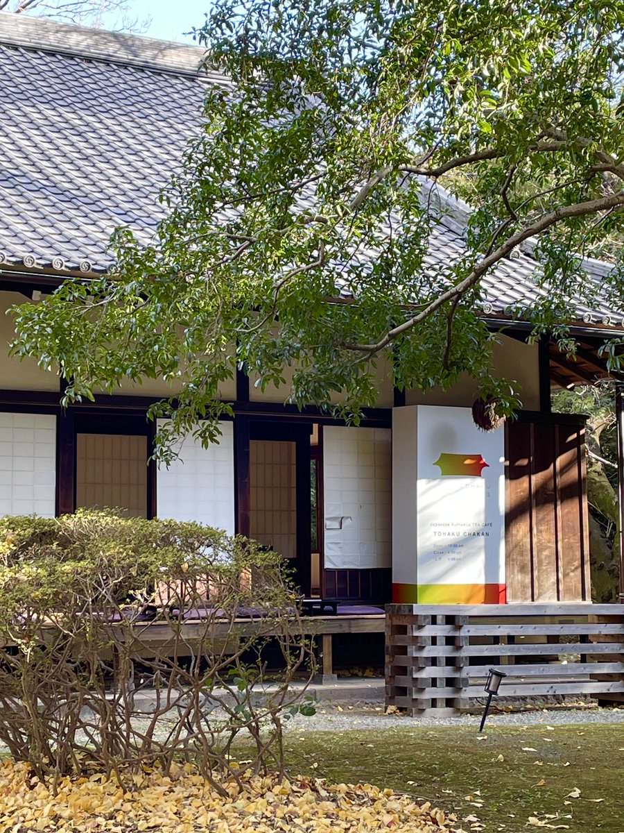 TOHAKU茶館 公式/ TOHAKU CHAKAN (@tohakuchakan) / Posts / X