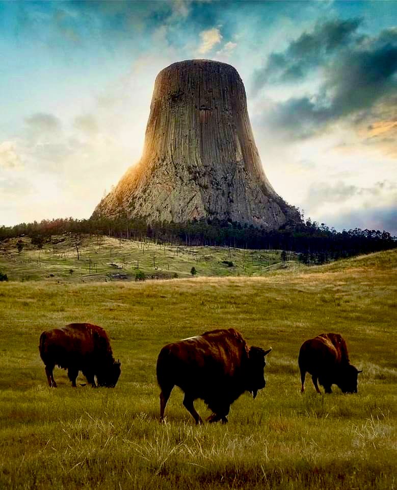 Native Red Cloud🪶Maȟpíya Lúta~Hińhan Wakangli⚡️🦉 tweet media