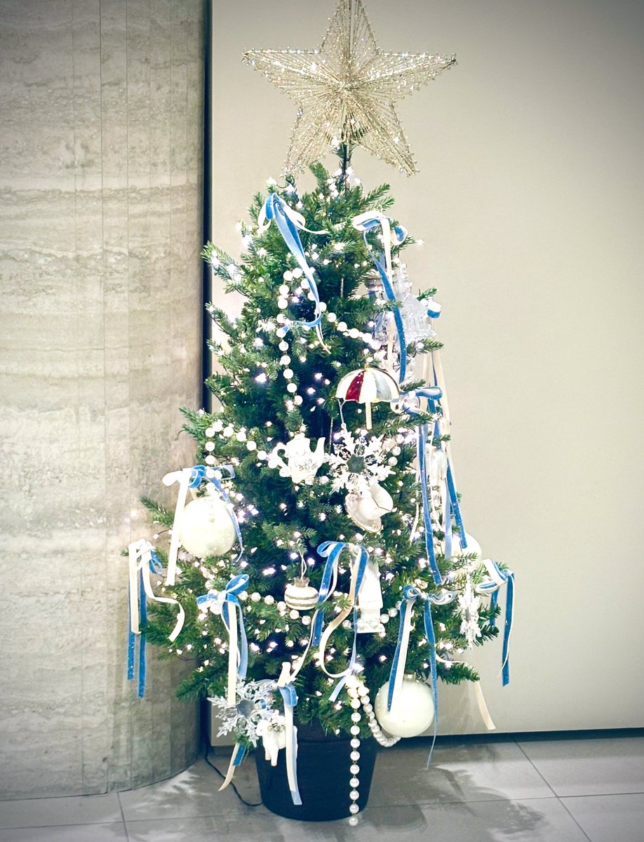 昨日何処かで出会った お気に入りのクリスマスツリー 何処でも見られる