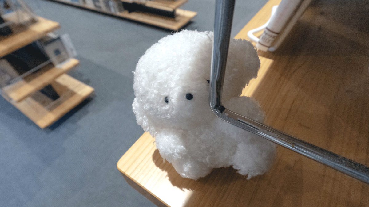 じょせまる (@josemaru_model) / Posts / X