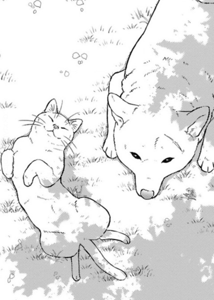 アンケートといえば!
『#殿と犬』四十五話へ
とってもたくさんのご感想
ありがとうございました。
「ナイチャッタ」の言葉にホロリ🥲✨
https://t.co/XTldjSpcpA