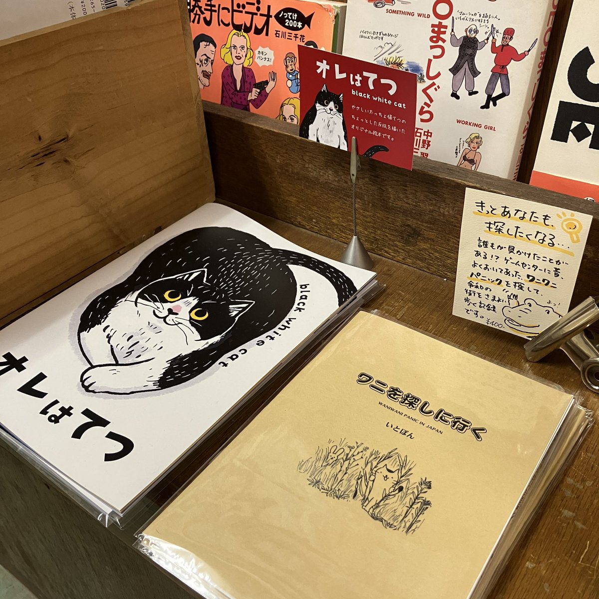 「古本いと本」ファンの皆様！いとぽん渾身のZINE「ワニを探しに行く」の取扱いを始めました！#新潟市 #上所駅 #古本屋 #理工学書 #ZINE #レコード #いと本