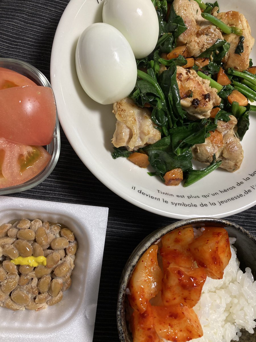 空飛ぶちょころっ犬🎍 (@ferrumequinum) on X