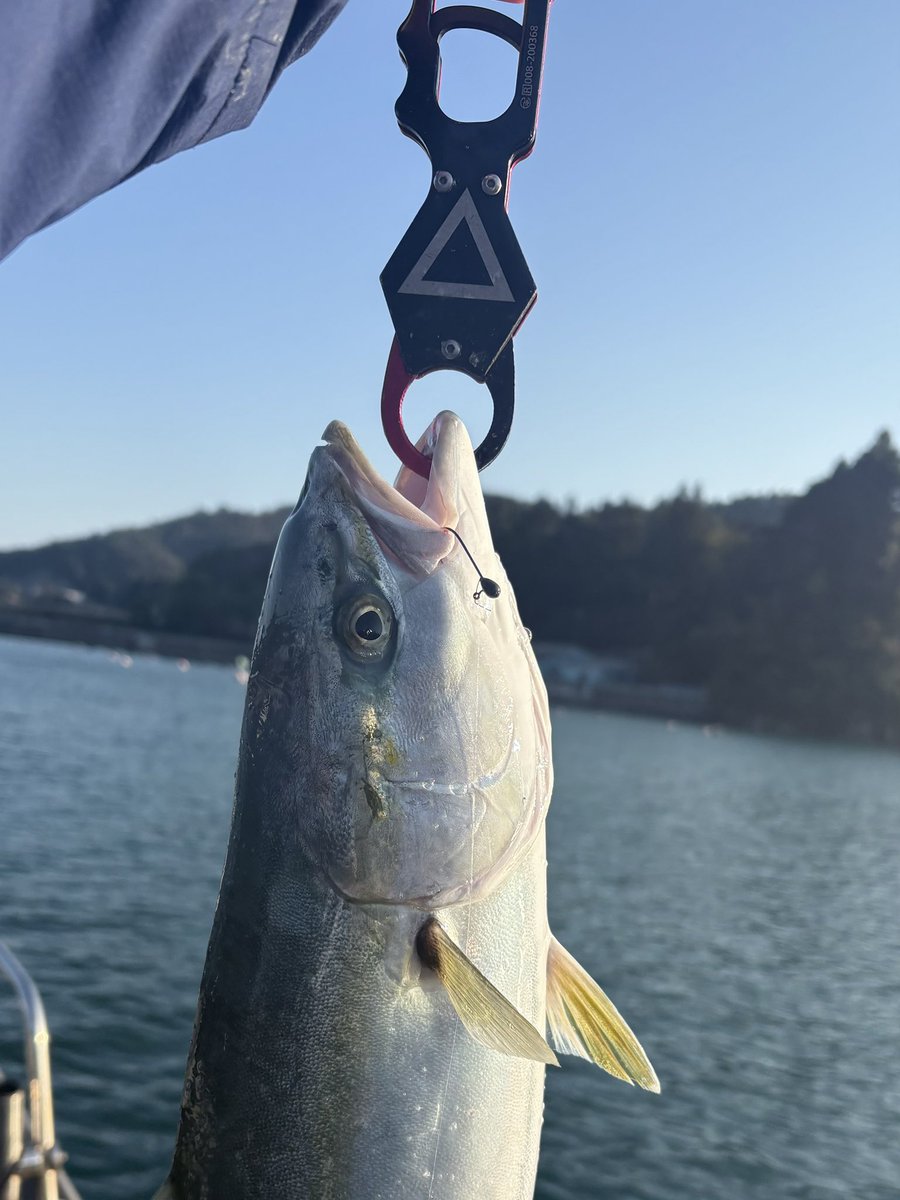 みなせちわ tweet media