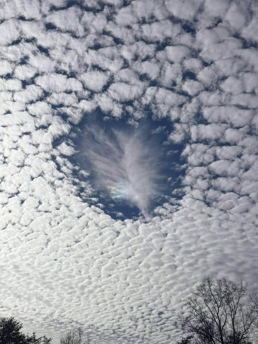 TimBuckleyWX's tweet photo. Kimberly Lewis sent a photo from Walnut Cove, NC, showing a fallstreak hole or "hole punch cloud." This occurs when a plane passes through a cloud of tiny water droplets, cooling the air enough for droplets to freeze into ice crystals. These crystals grow faster and fall out. https://t.co/2yt3qmKNzd