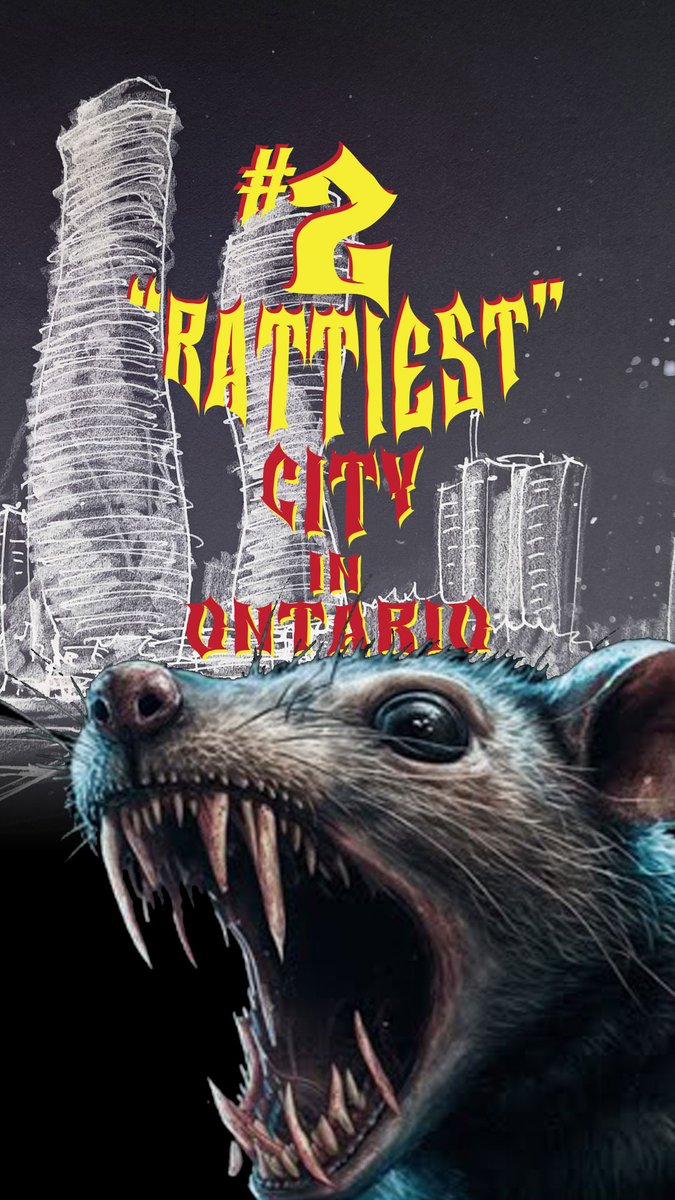 MarkusMethod 🇨🇦 🇭🇺 tweet media