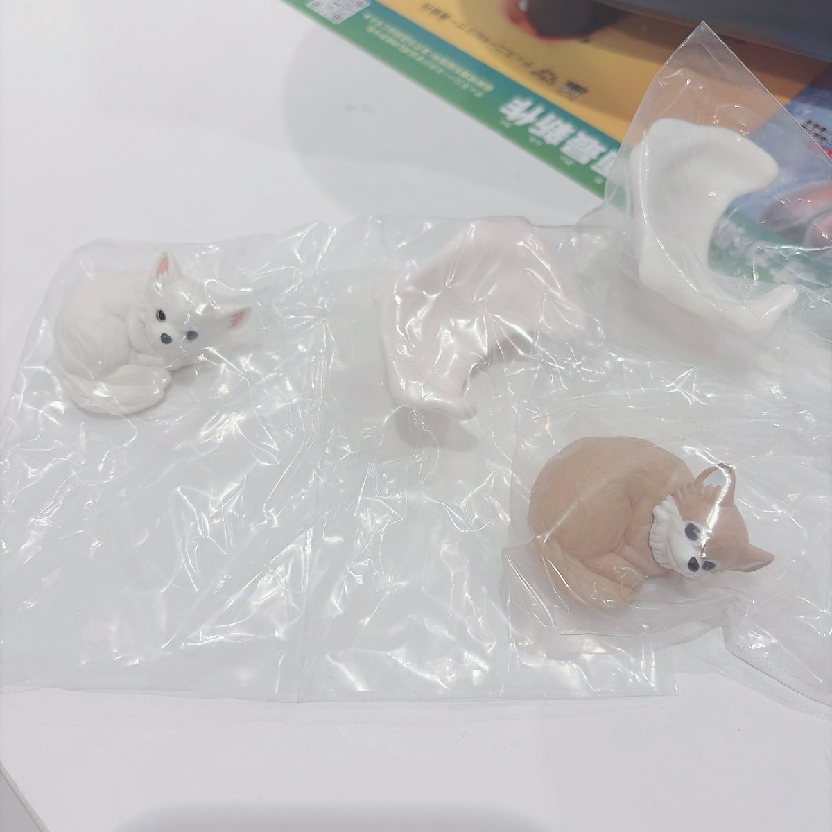 ちぃ 🐈‍⬛ ⸒⸒ tweet media